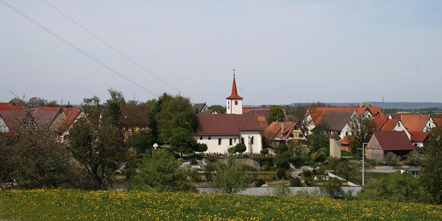Ortsrand mit Häusern und Kirche, davor eine Wiese mit Blüten