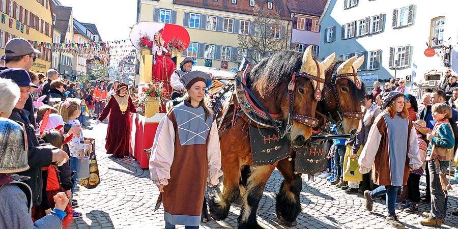Fasnetszug mit Pferdegespann und verkleideten Narren zieht über den Marktplatz, gesäumt von Zuschauenden