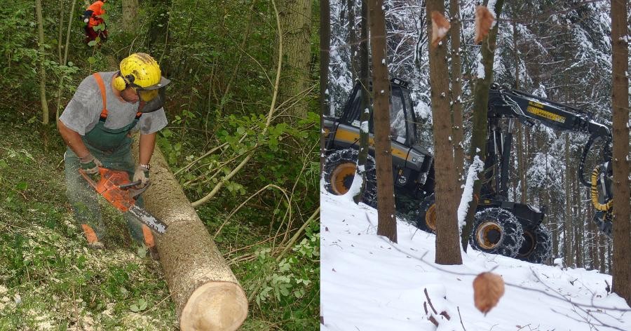 Forstarbeiter mit Kettensäge und Gehörschutz bei der Arbeit an einem Baumstamm im Wald, ein zweites Bild zeigt eine größere Waldmaschine mit Greifarm im Winter
