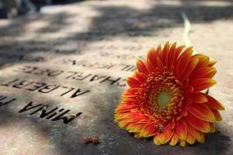 Symboliche Fotografie: eine Blüte liegt auf einem Gedenkstein mit Namen