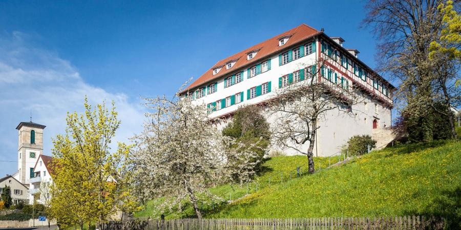 Gomaringen, Schloss und Ev. Kirche Großes Walmdachgebäude auf hohem Sockel leicht erhöht auf einem Hügel umgeben von Wiesen und Bäumen, ein Stück weiter im Bildhintergrund an der Straße ein Kirchturm und Häuser