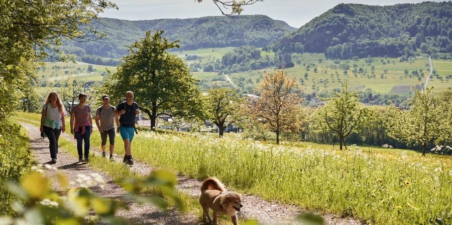 Vier Personen und ein Hund wandern auf einem Weg entlang von Baumwiesen und im Hintergrund sind Berge der Schwäbischen Alb