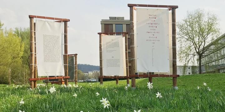 Ausstellung "Wortwiese ... weil halt" Die bedruckten Planen für die Ausstellung "Wortwiese" sind an dreiseitigen Holzgestellen verschnürt, auf der Wiese beim Landratsamt blühen Narzissen, die Gebäude sind zum Teil zu sehen