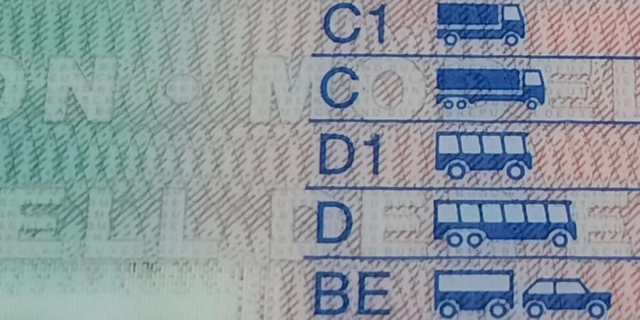 Ausschnitt aus dem Kartenführerschein mit Fahrzeugklassen im Bereich C und D und Symbolen von LKW und Bussen verschiedener Größen