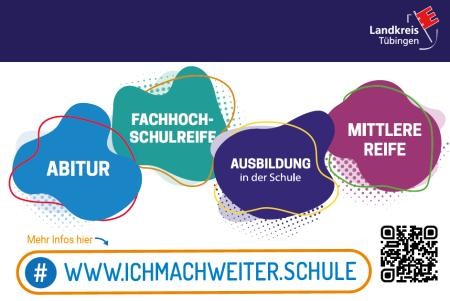 Bildungsangebote der Beruflichen Schulen des Landkreises Tübingen in unterschiedlichen Farben dargestellt 