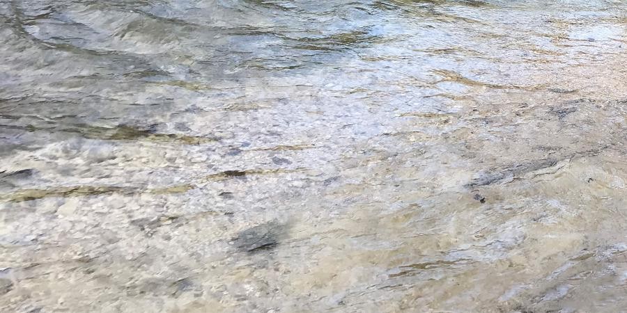 Blick auf ein Fließgewässer