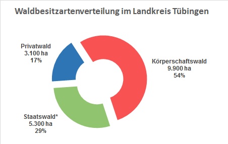 Kuchendiagramm der Waldbesitzartenverteilung im Landkreis Tübingen: Privatwald 3100 ha = 17 %, Körperschaftswald  9900 ha = 54 %, Staatswald 5300 ha = 29 %