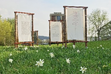Die bedruckten Planen für die Ausstellung "Wortwiese" sind an dreiseitige Holzgestellen verschnürt, auf der Wiese beim Landratsamt blühen Blumen, die Gebäude sind zum Teil zu sehen Landratsamt