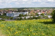 Ansicht von Bodelshausen mit Wiese, Industrie-Gebäuden und dem Ortskern mit Wohn-Bebauung