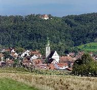 Der Ort Entringen mit Kirche, Häusern und umgebenden Wiesen vor einem bewaldeten Berg mit Schloss-Gebäude
